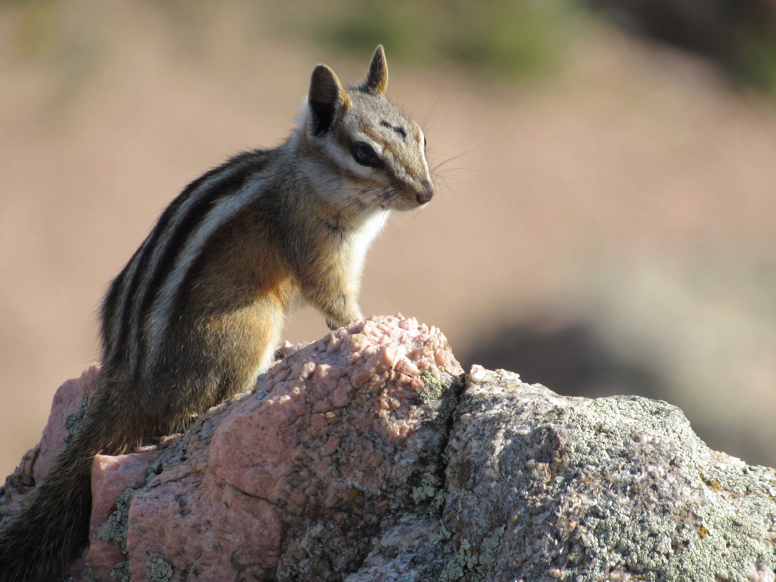 2022-09-25_Arthurs-Rock