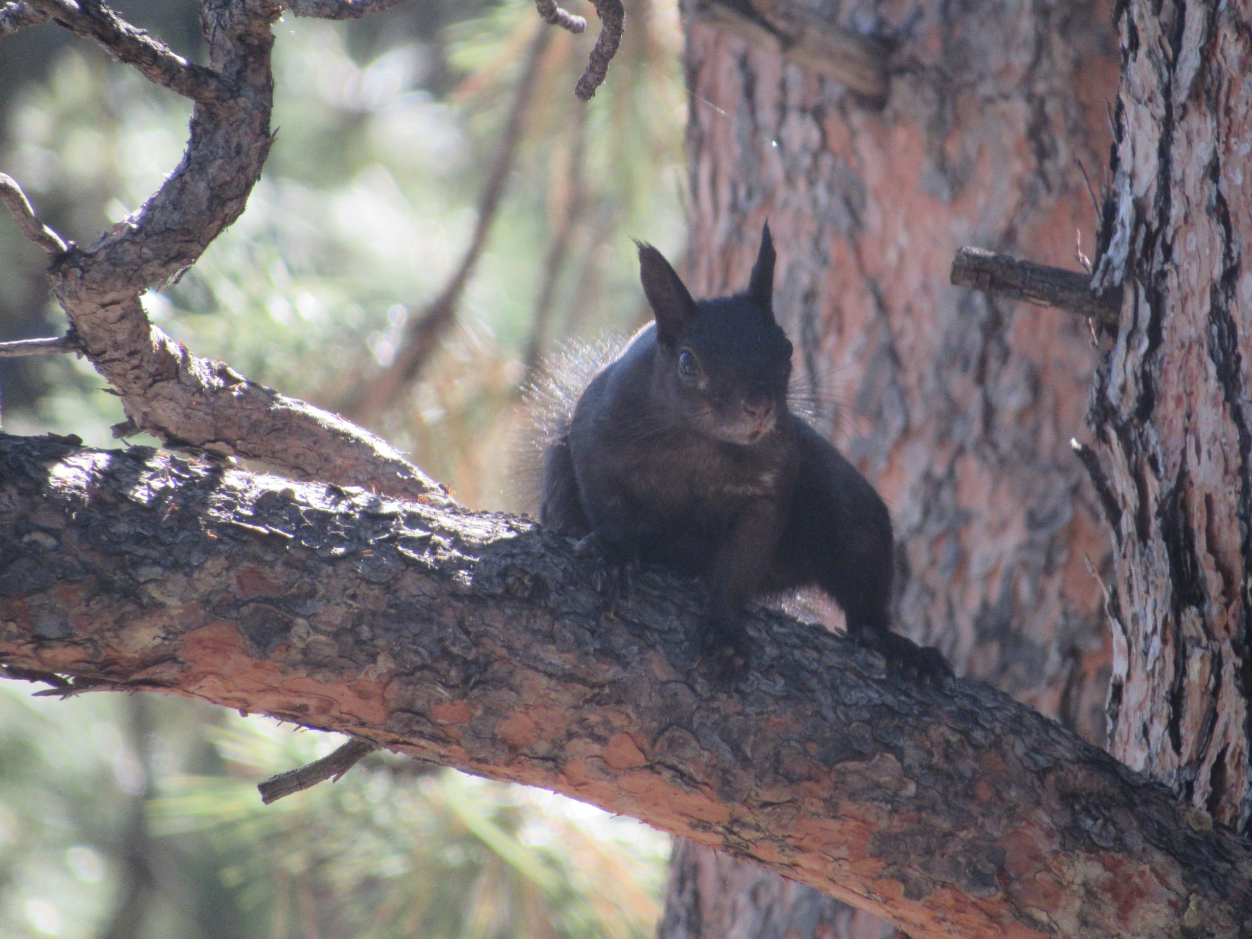 2022-09-26_Well-Gulch