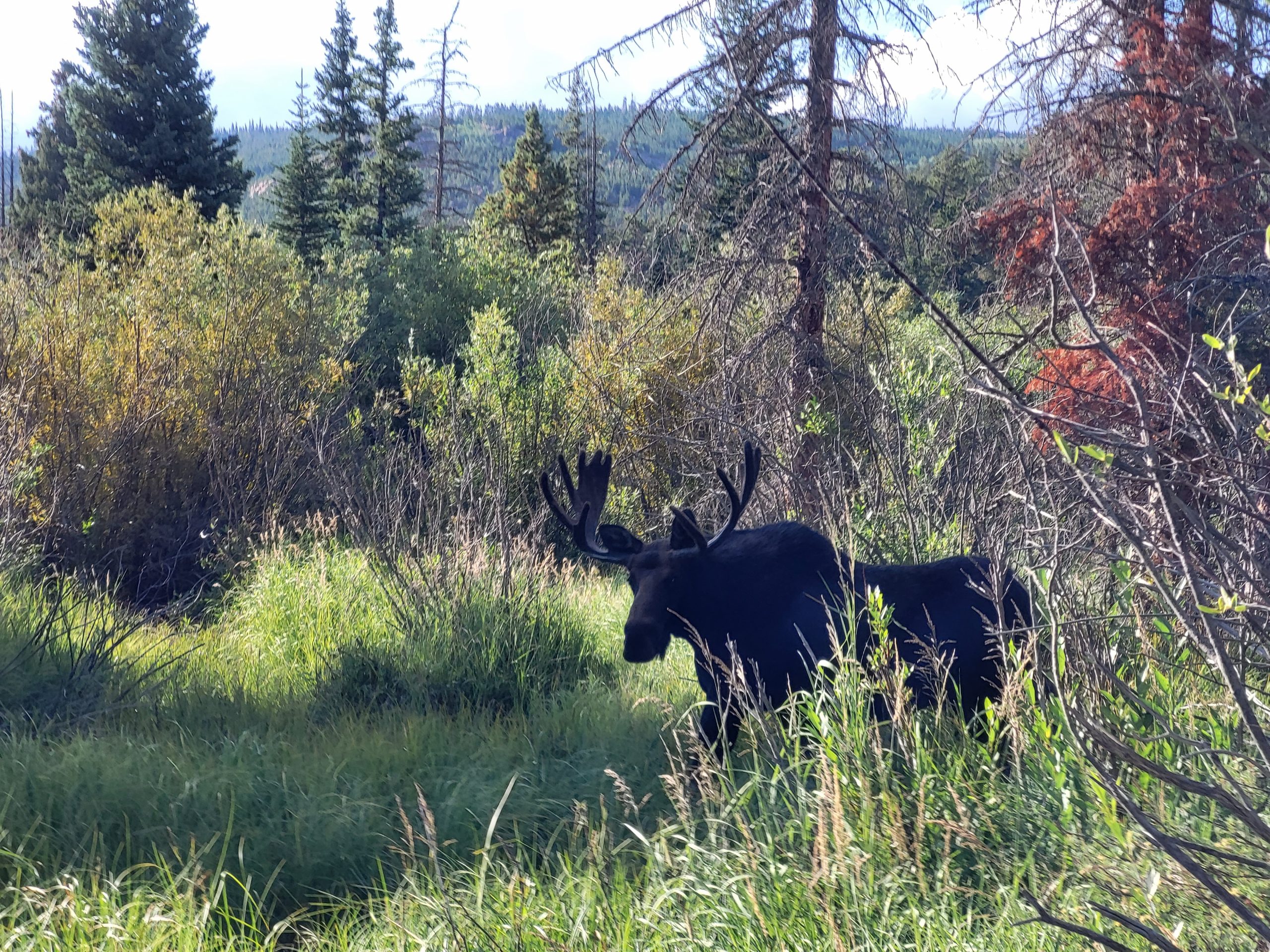 Enjoying the weather, August 2022