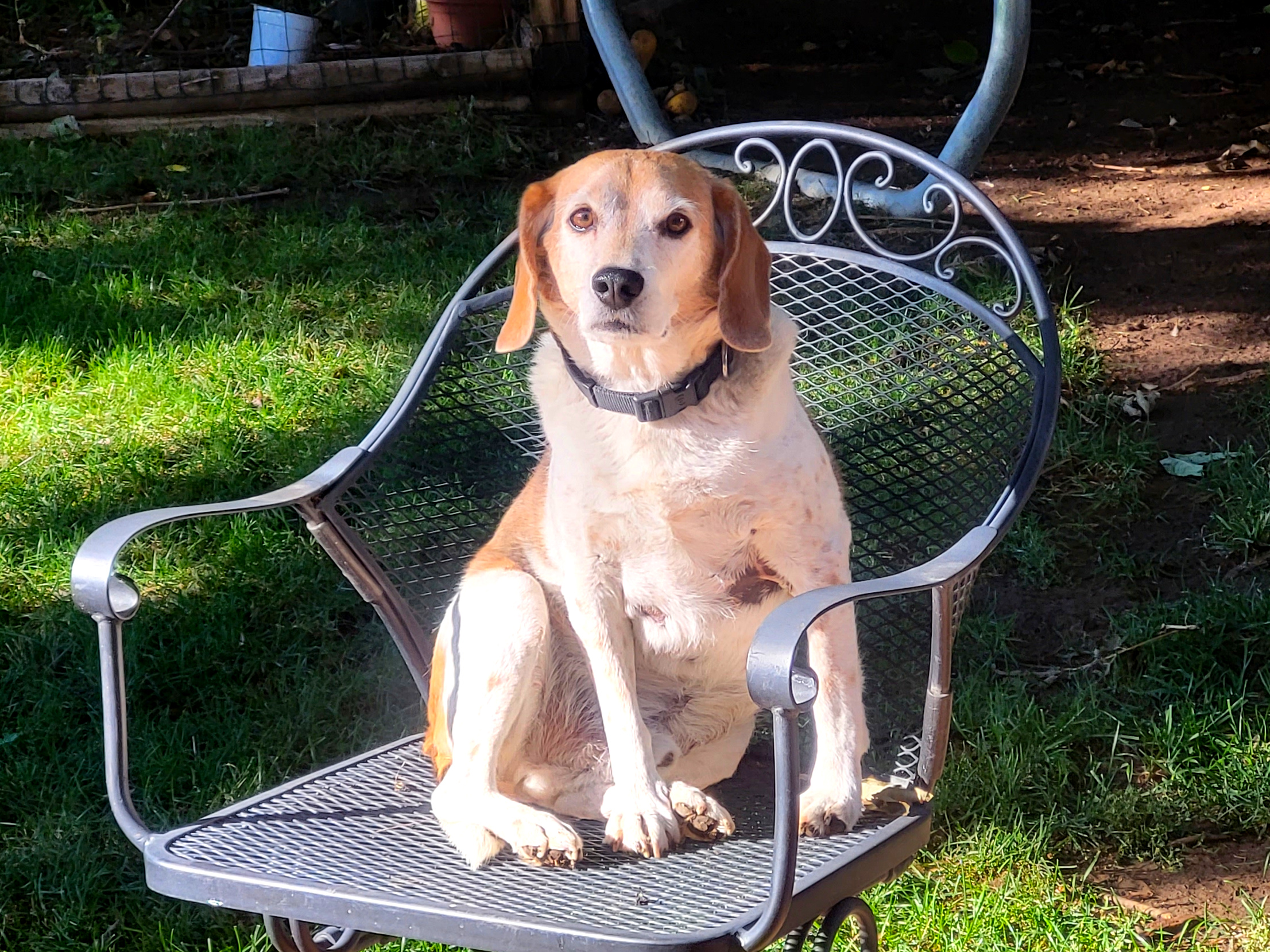 Bugs, September 2022