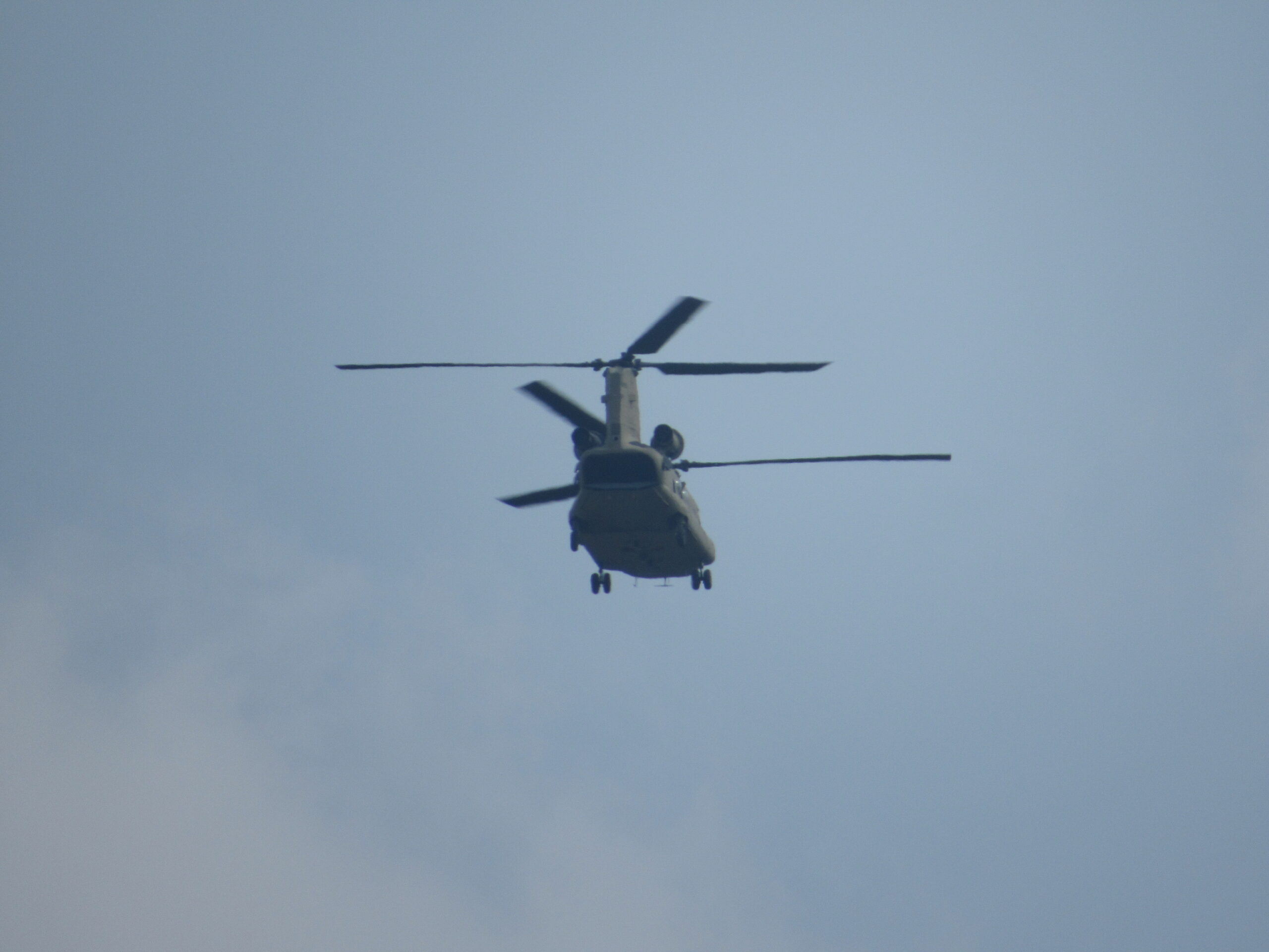 Chinooks flying over cabin