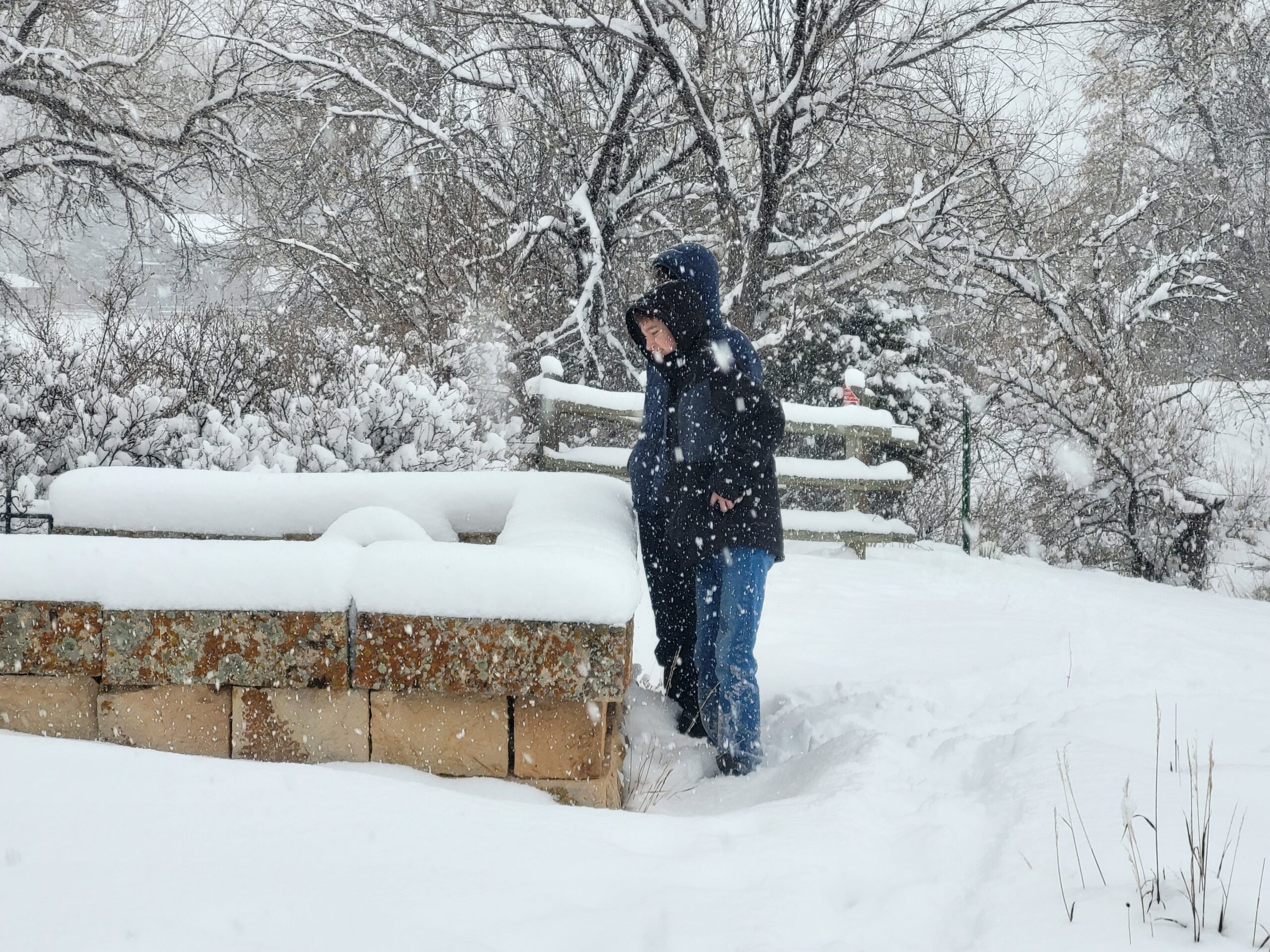 Bingham Hill Cemetery