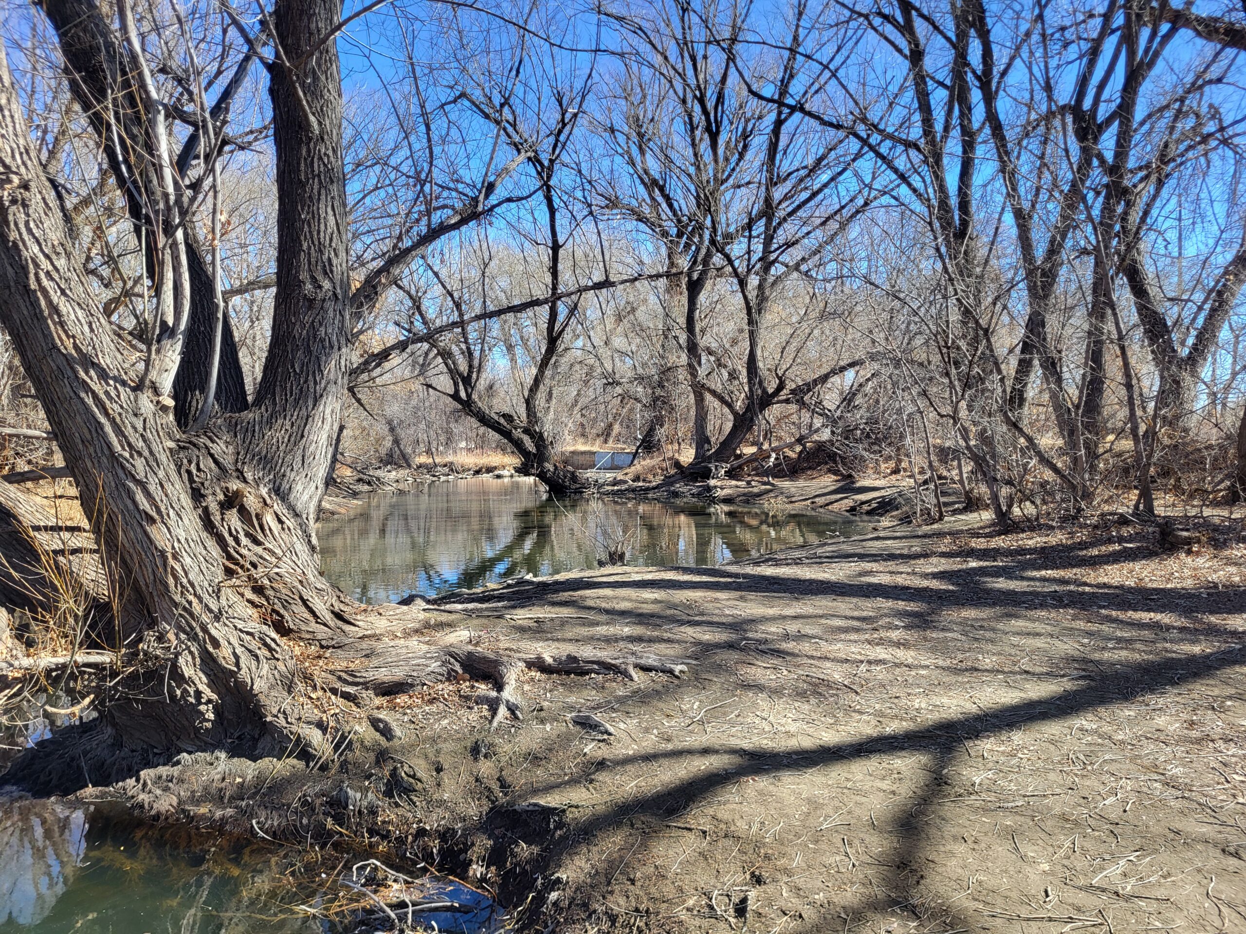 Prospect Ponds, March 2025