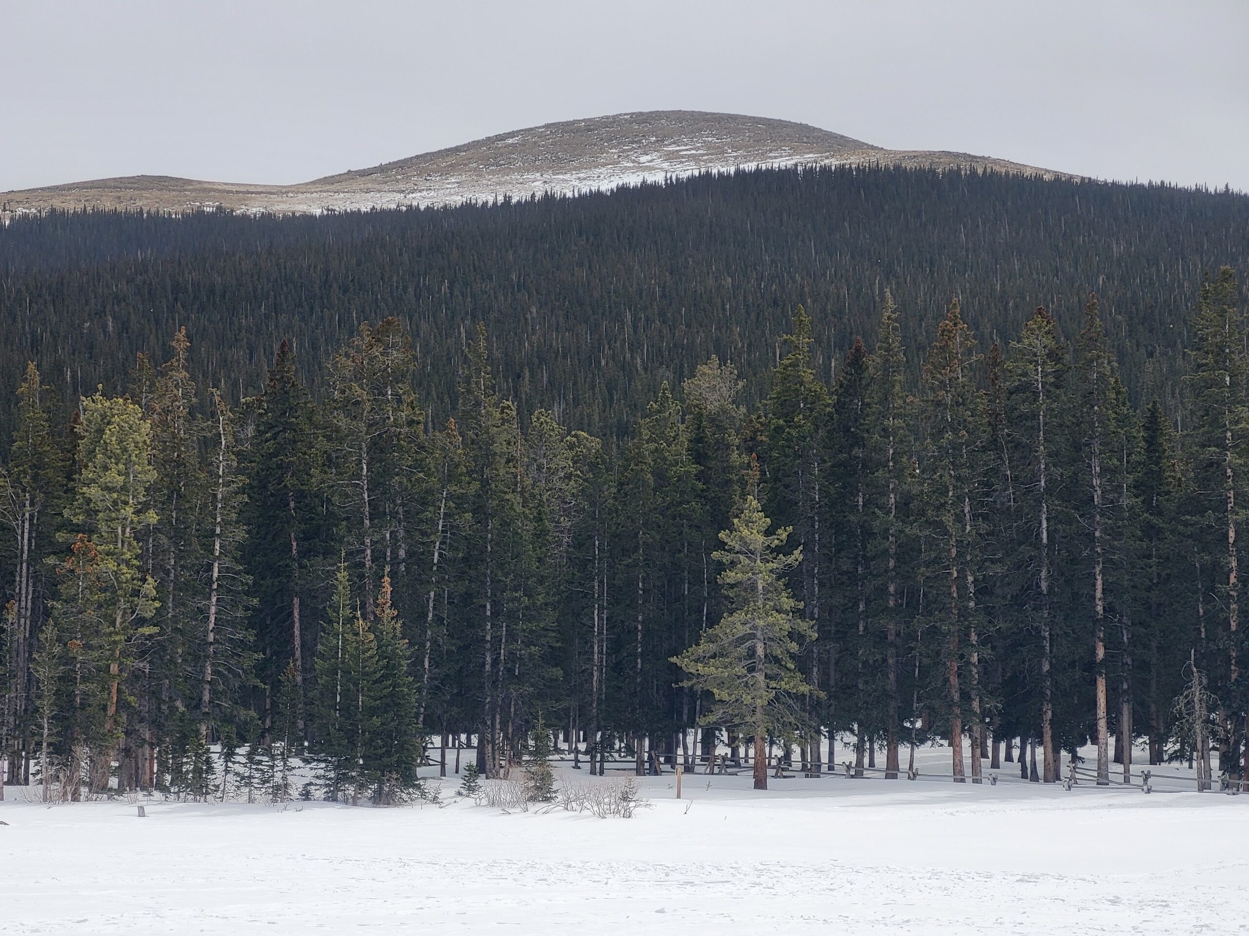 Colorado day trip, March 2025