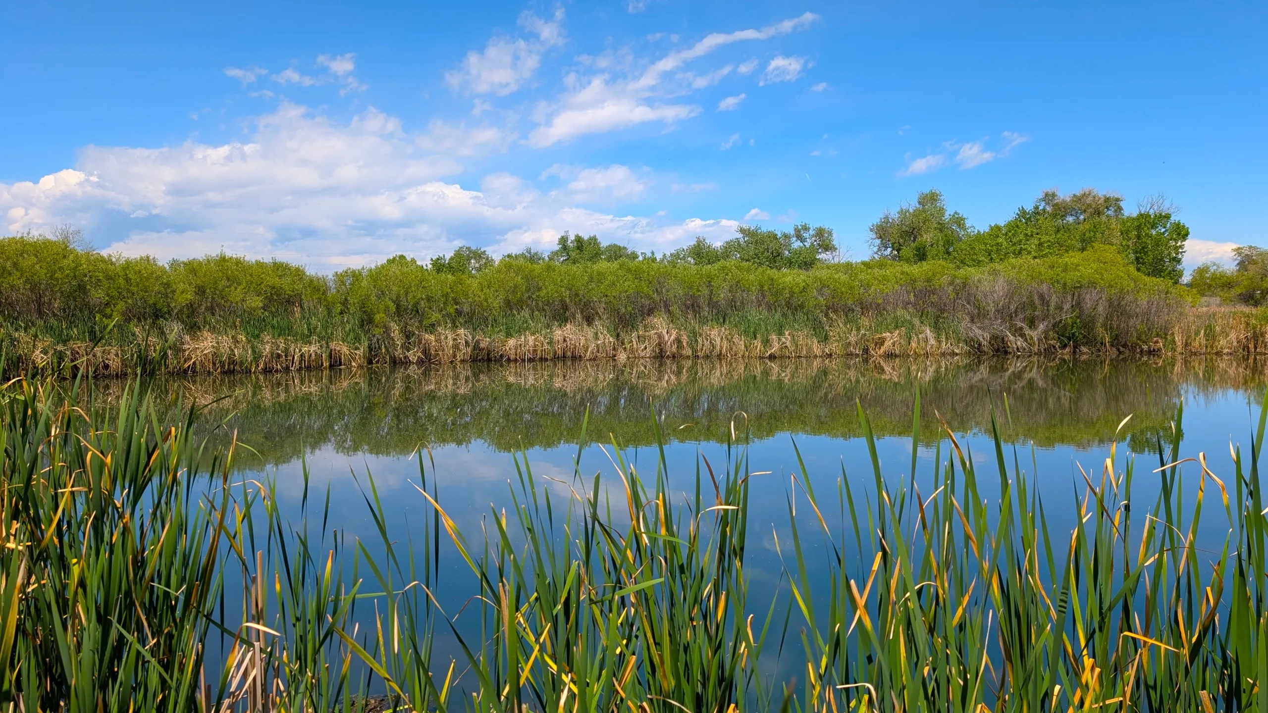 2026-05-21 Rocky Mountain Arsenal National Wildlife Refuge
